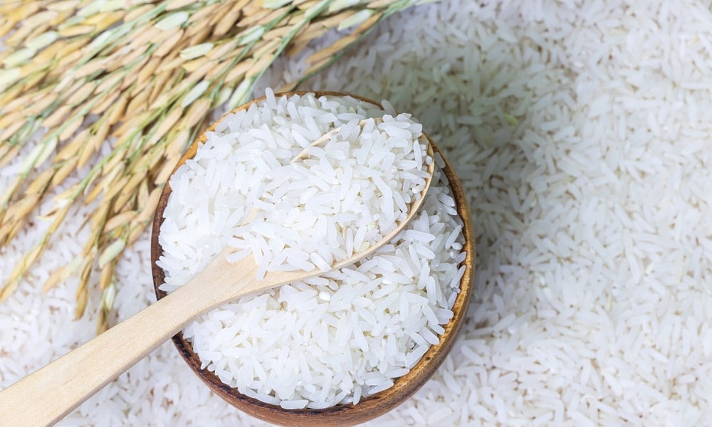 خرید و فروش عمده برنج ایرانی